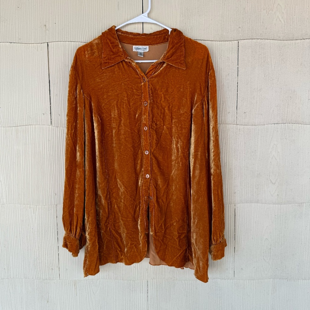Vintage Coldwater Creek Crushed Velvet Blouse